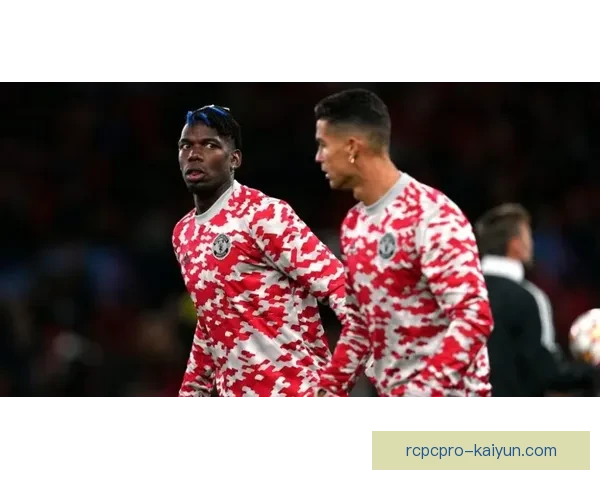 足球最新签约动态分析，转会市场表现持续活跃