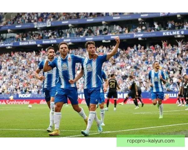 瑞士球迷红十字在国际赛事中的支持表现值得关注